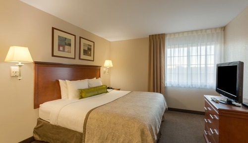 Suite, 1 Bedroom