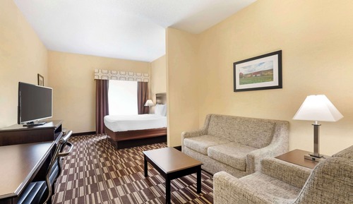 Suite, 1 King Bed, Non Smoking, Refrigerator & Microwave (with Sofabed)