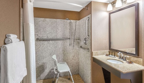 Room, 1 King Bed, Non Smoking (Roll-In Shower)