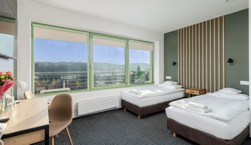 Deluxe Double or Twin Room