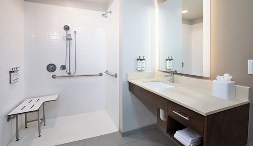 Suite, 1 Bedroom, Accessible, Kitchen (Communications, Roll-In Shower)