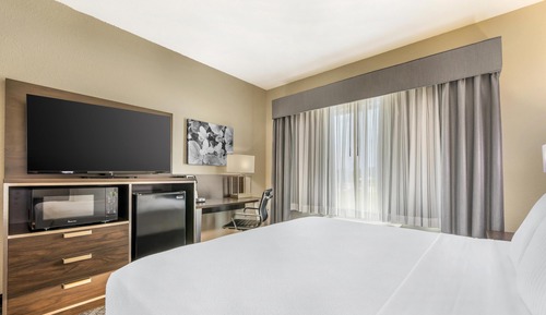 Suite, 1 King Bed with Sofa bed, Non Smoking, Refrigerator & Microwave (with Sofabed)