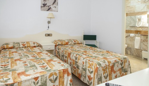Double or Twin Room