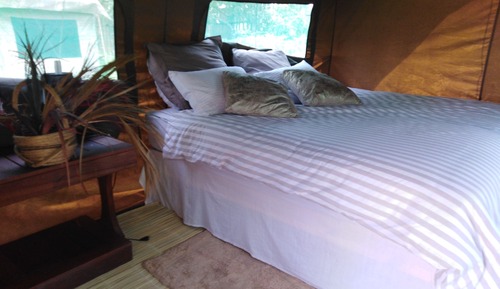 Basic Tent, 1 Queen Bed, Non Smoking, Shared Bathroom