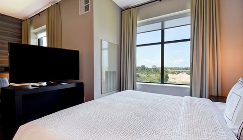 Studio, 1 King Bed with Sofa bed
