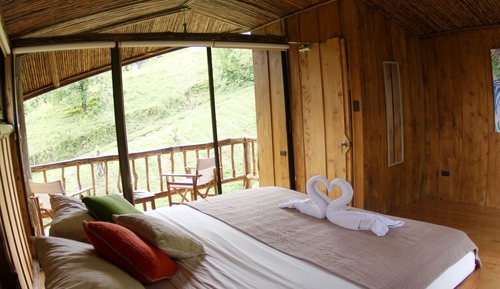 Standard Double or Twin Room, 1 Bedroom, Pool Access, Garden View