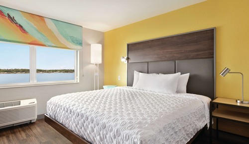 Room, 1 King Bed