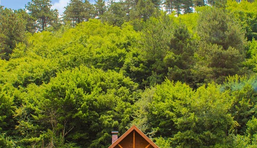 Bungalow, Garden Area