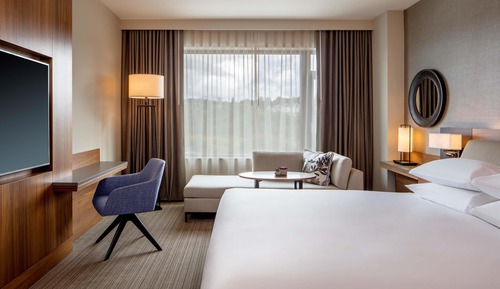Room, 1 King Bed, Park View