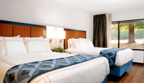 Premium Room, 2 Queen Beds