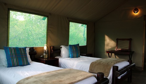Safari Tent 