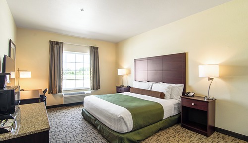 Room, 1 King Bed, Accessible Benched Tub