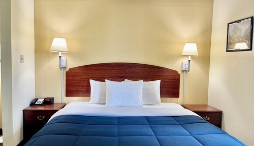 Suite, 1 King Bed with Sofa bed