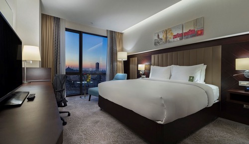 Room, 1 King Bed