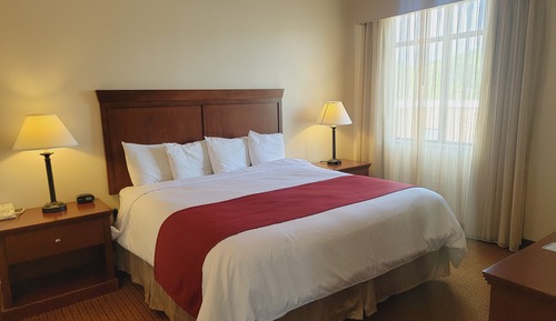 Suite, 1 King Bed Hearing Accessible