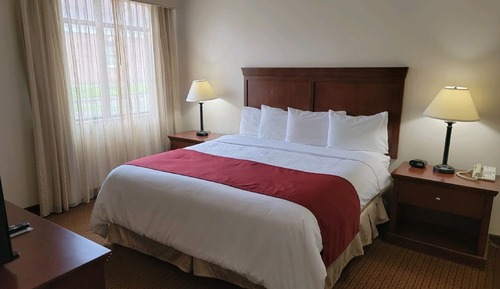 King Suite with Fireplace