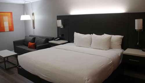 Standard Room, 1 King Bed, Non Smoking