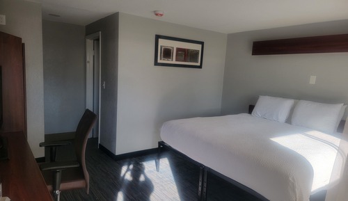 Comfort Room, 1 Queen Bed