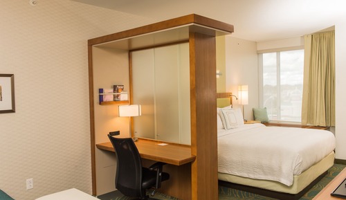 Suite, 1 King Bed with Sofa bed (Mobility/Hearing Access, Roll-In Shwr)