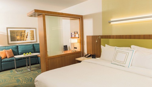 Suite, 1 King Bed with Sofa bed