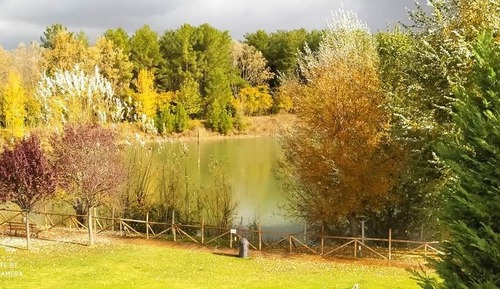 Double Room, Lake View