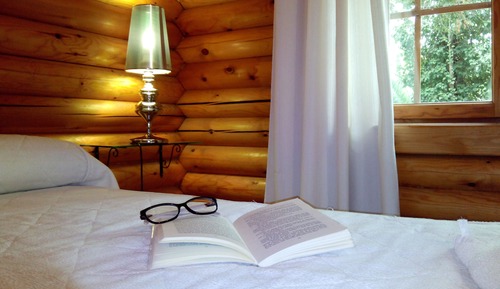 Basic Cabin, 1 Bedroom