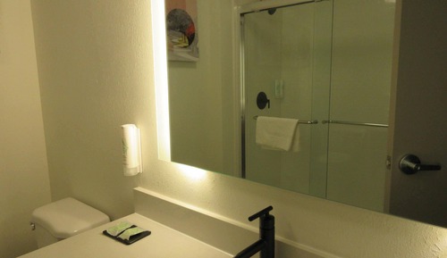 Room, 1 King Bed, Roll-in Shower, Non Smoking