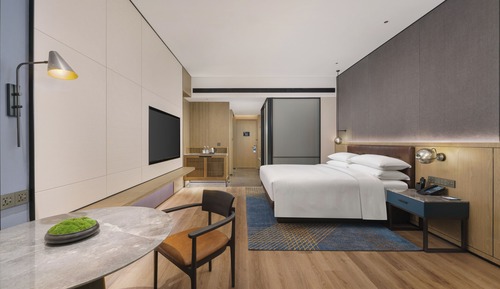 City Room, 1 King Bed, City View