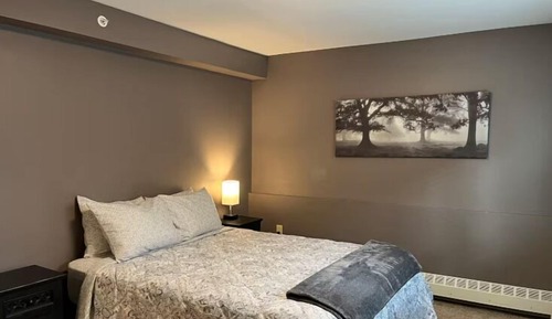 Lark St #101; Apartment with Kitchen, Queen Bed