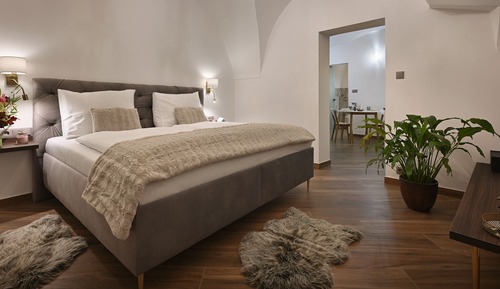 Classic Studio, 1 Bedroom