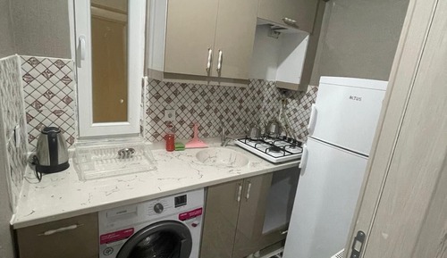 Basic Apartment