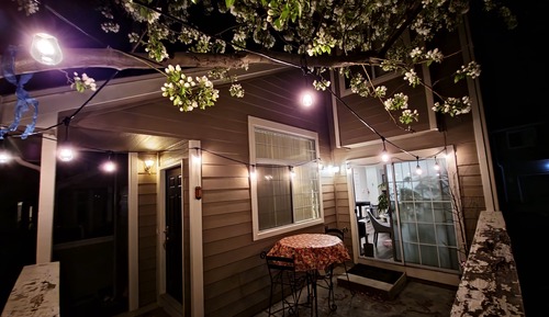 Standard Double Room, Courtyard View