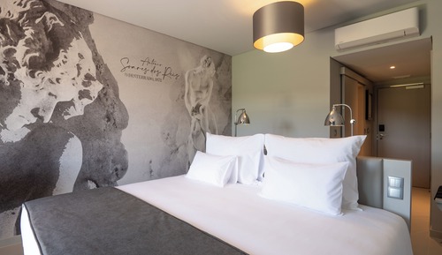 Double Room Single Use, Vineyard View