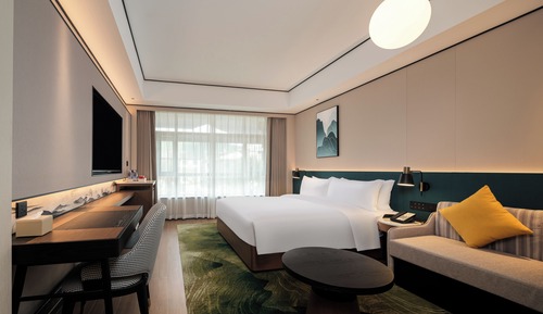 Room, 1 King Bed, Accessible