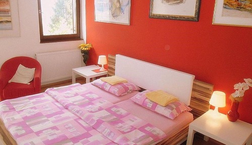 Apartment (One Bedroom Apartment)