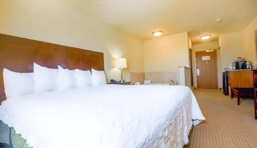 Luxury Suite