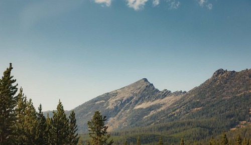 Family Room (Moonlight)