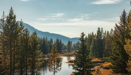 Cabin, 2 Bedrooms (Big Sky)