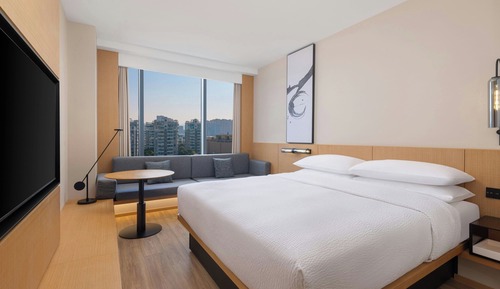 Standard Room, 1 King Bed, City View