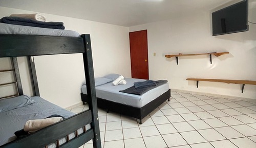 Basic Quadruple Room, Mountain View