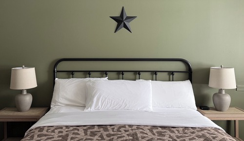 Standard Room, 1 King Bed, Non Smoking
