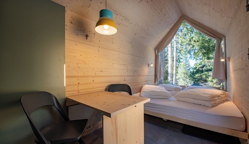 Superior Cabin, 1 King Bed, Mountain View