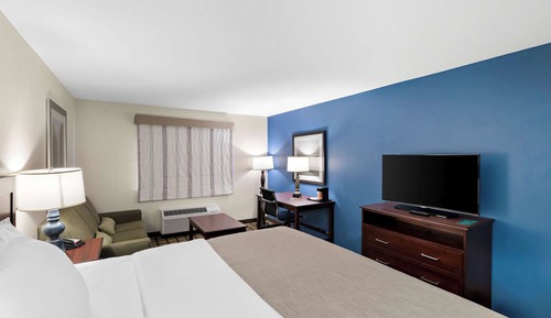 Suite, 1 King Bed with Sofa bed, Non Smoking