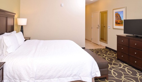 Room, Accessible, Non Smoking (Roll-in Shower)