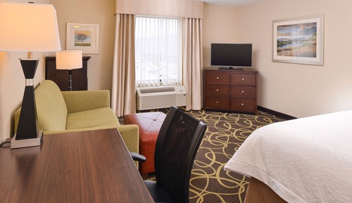 Room, 1 King Bed, Non Smoking, Refrigerator & Microwave