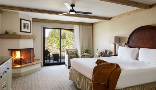 Room, 1 King Bed, Accessible, Fireplace (Vineyard View)