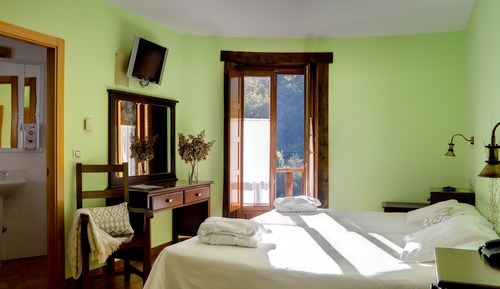 Double or Twin Room