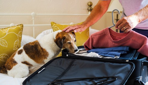 Cottage, 2 Bedrooms (Dog Friendly)