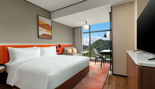 Room, 1 King Bed, Mountain View