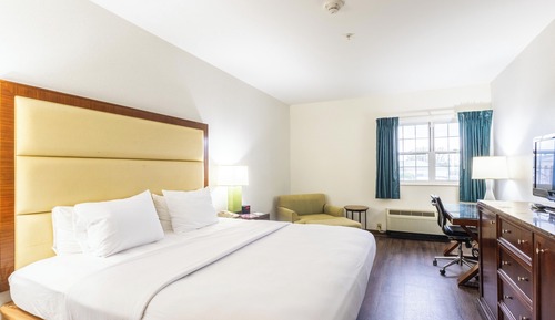 Single Room, 1 King Bed